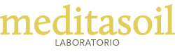 LABORATORIO Logo
